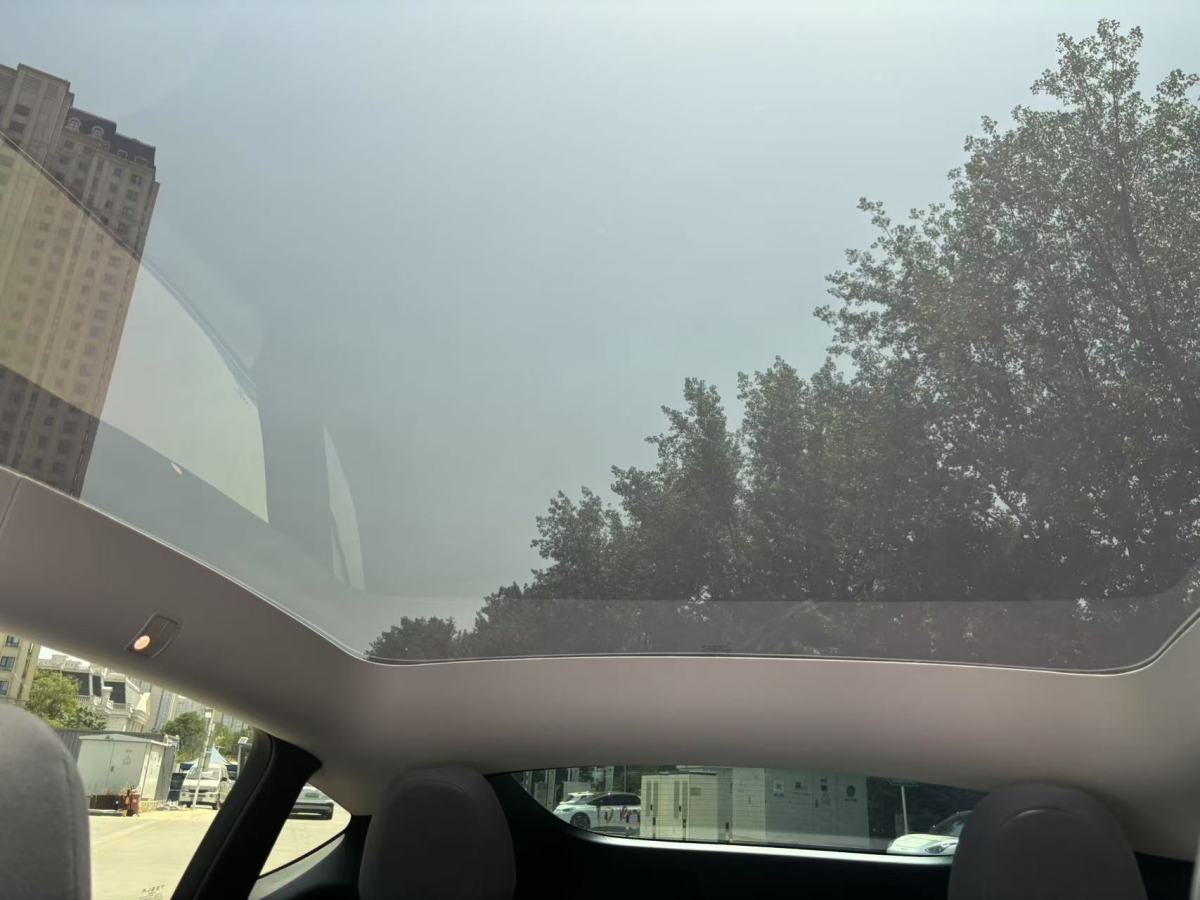 特斯拉 Model Y  2024款 后輪驅(qū)動版圖片