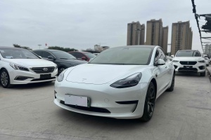 Model 3 特斯拉 标准续航后驱升级版