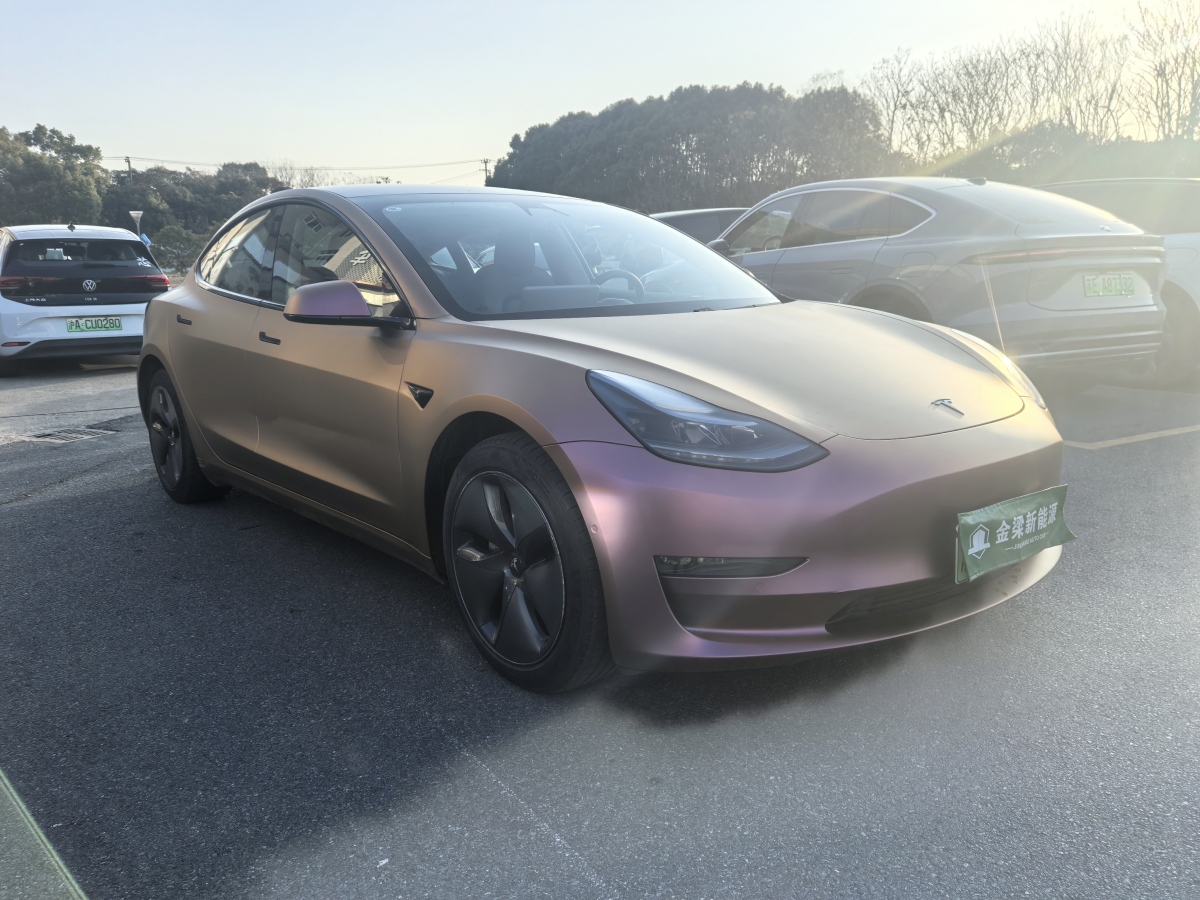 特斯拉 Model 3  2020款 改款 長(zhǎng)續(xù)航后輪驅(qū)動(dòng)版圖片