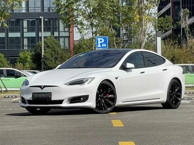 2017年1月 特斯拉 Model S Model S 100D圖片