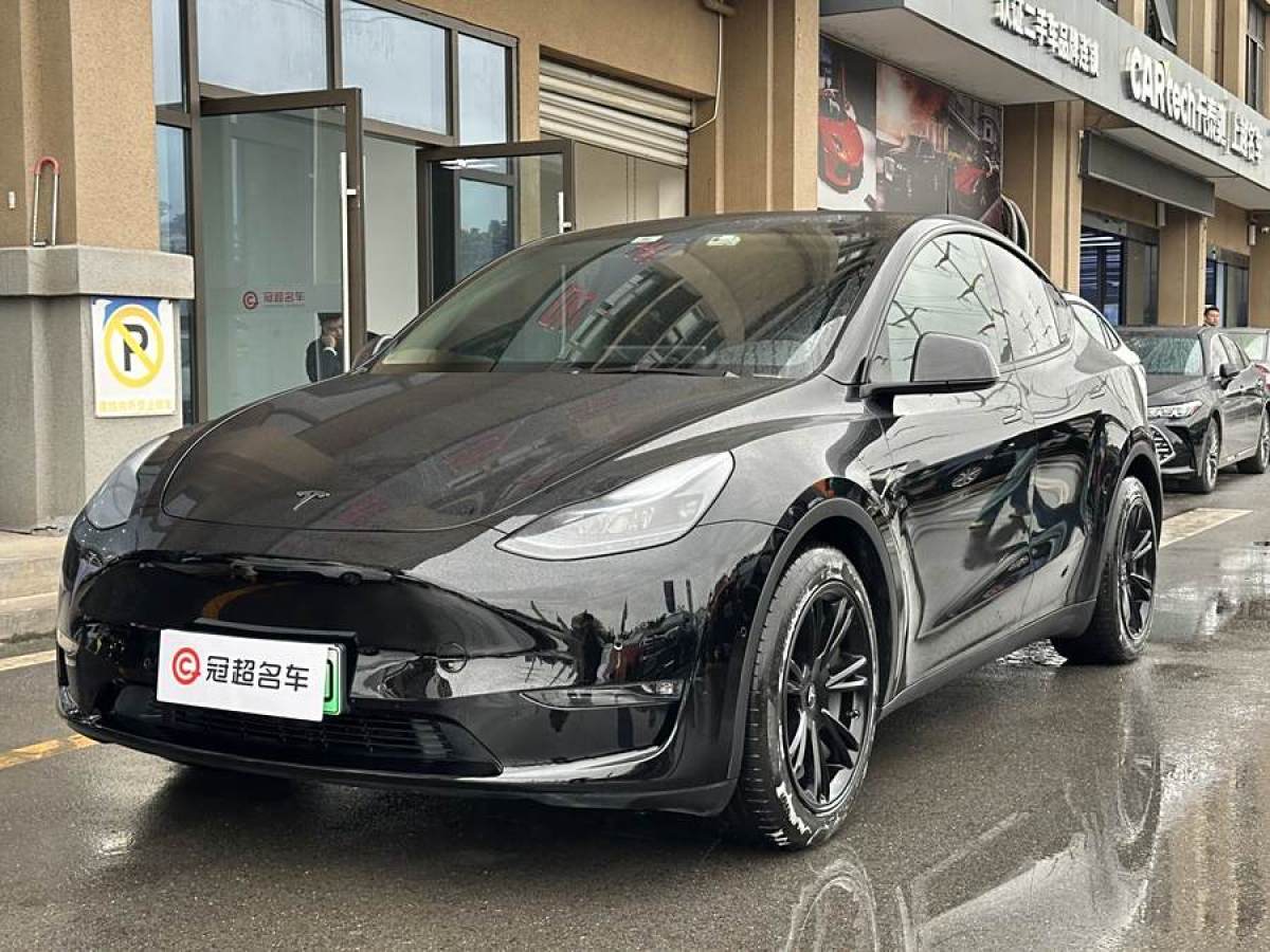 特斯拉 Model Y  2021款 改款 標(biāo)準(zhǔn)續(xù)航后驅(qū)升級(jí)版圖片