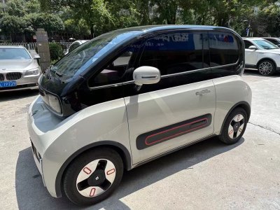 2022年3月 宝骏 宝骏KiWi EV 艺术家 三元锂图片