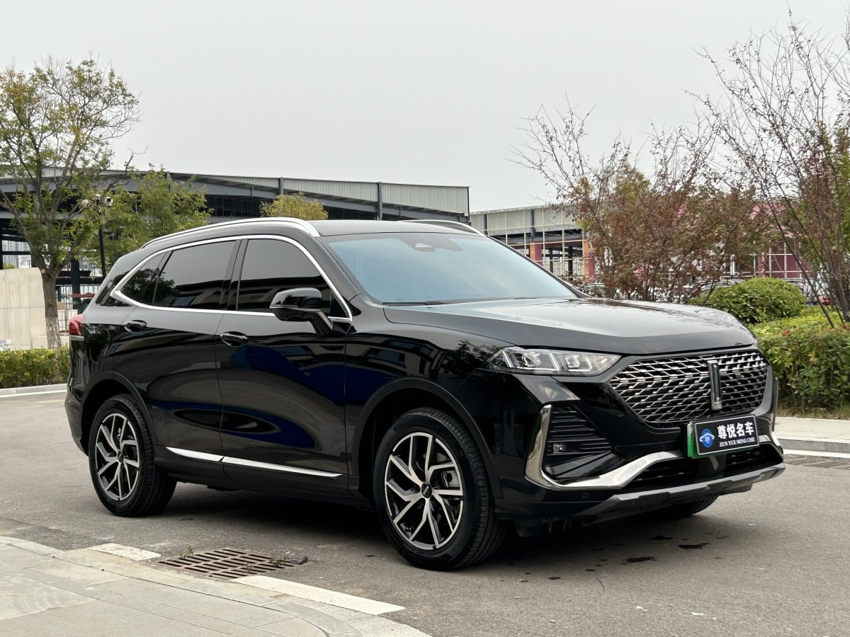 WEY 拿鐵DHT-PHEV  2022款 1.5T 兩驅(qū)超大杯圖片