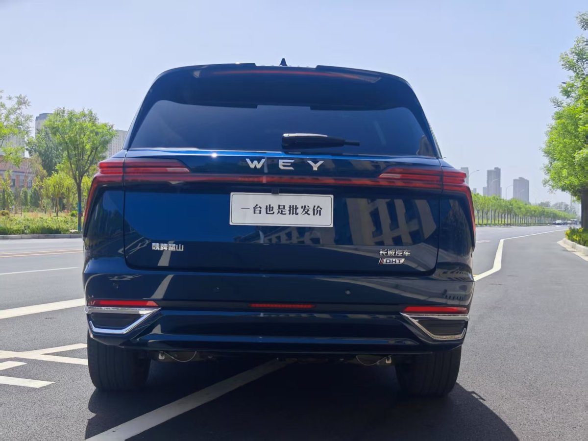 長(zhǎng)城 藍(lán)山  2023款 四驅(qū)長(zhǎng)續(xù)航版圖片