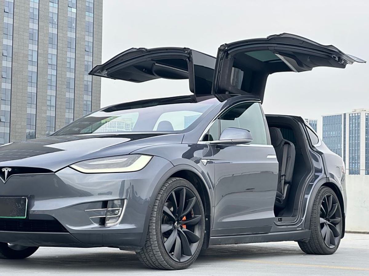 特斯拉 Model X  2019款 長續(xù)航版圖片