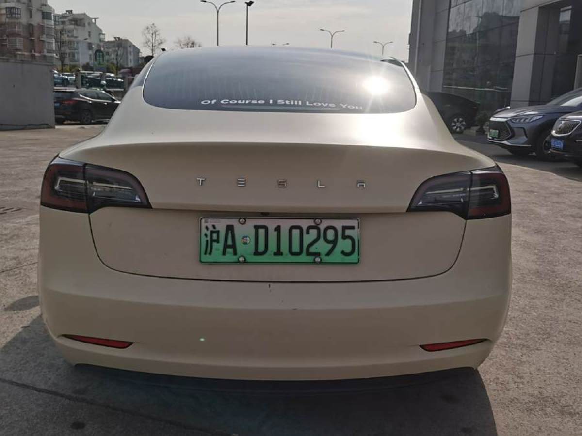 特斯拉 Model 3  2019款 長(zhǎng)續(xù)航后驅(qū)版圖片