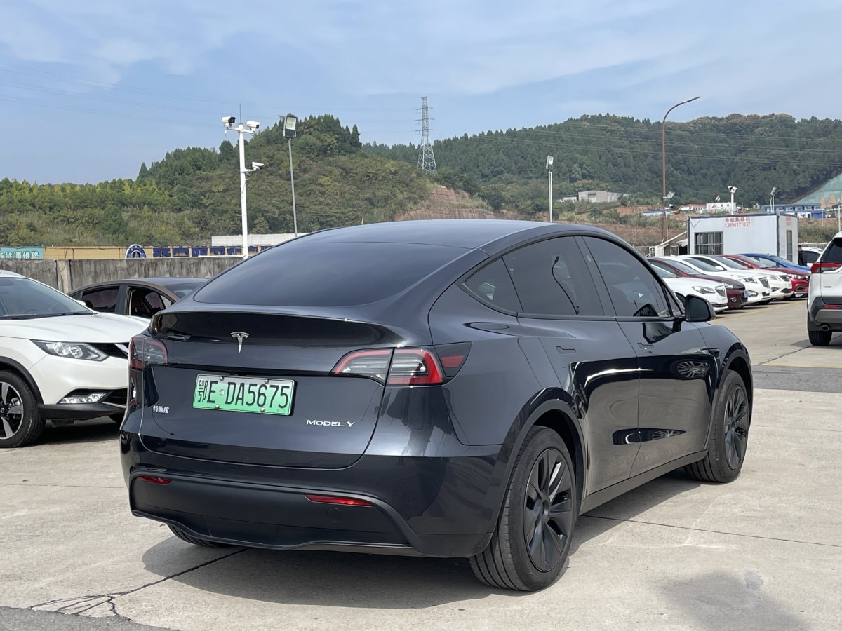 特斯拉 Model Y  2020款 改款 長續(xù)航后輪驅(qū)動版圖片