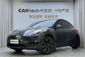 Model Y 特斯拉 改款 长续航后轮驱动版