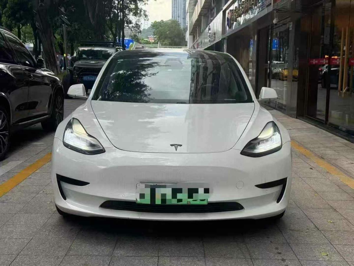 特斯拉 Model X  2020款 Performance 高性能版圖片