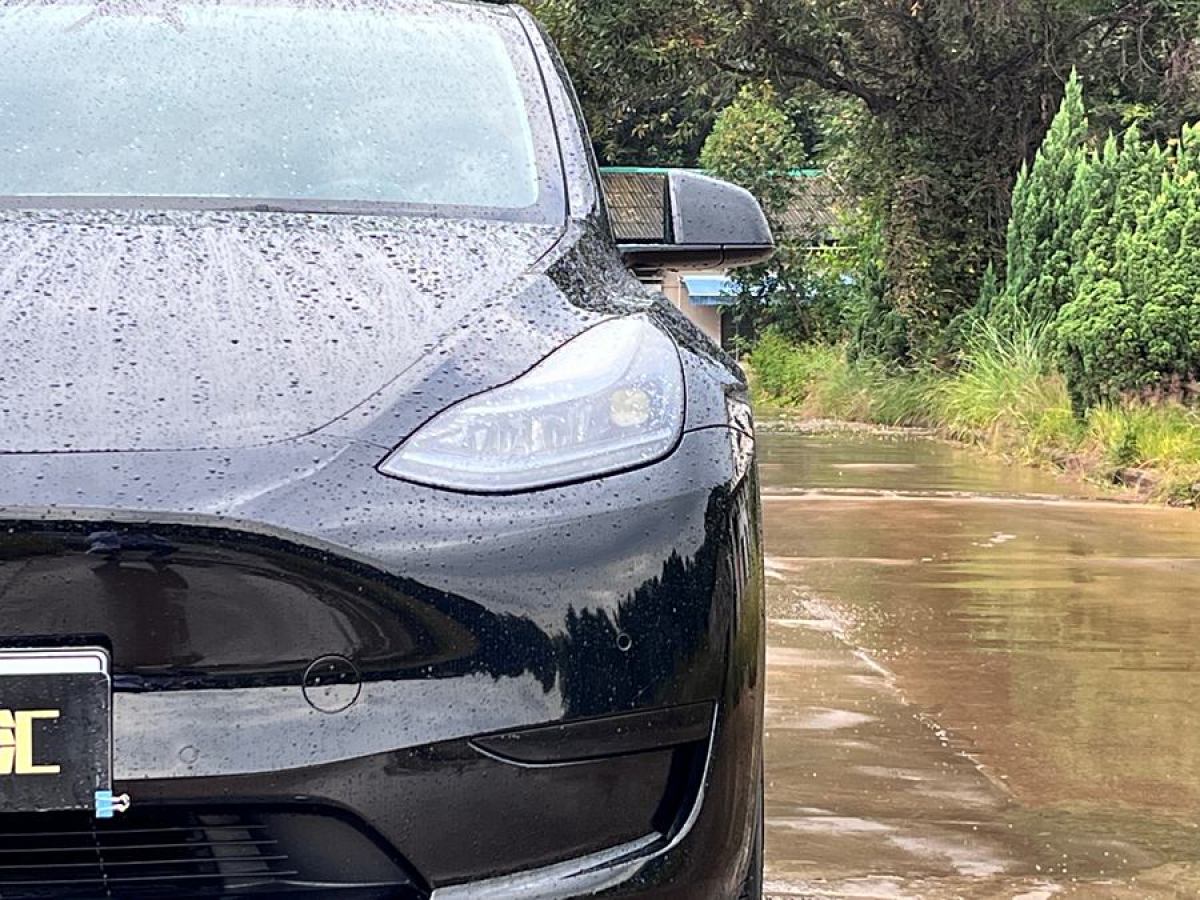 特斯拉 Model Y  2022款 后輪驅(qū)動版圖片