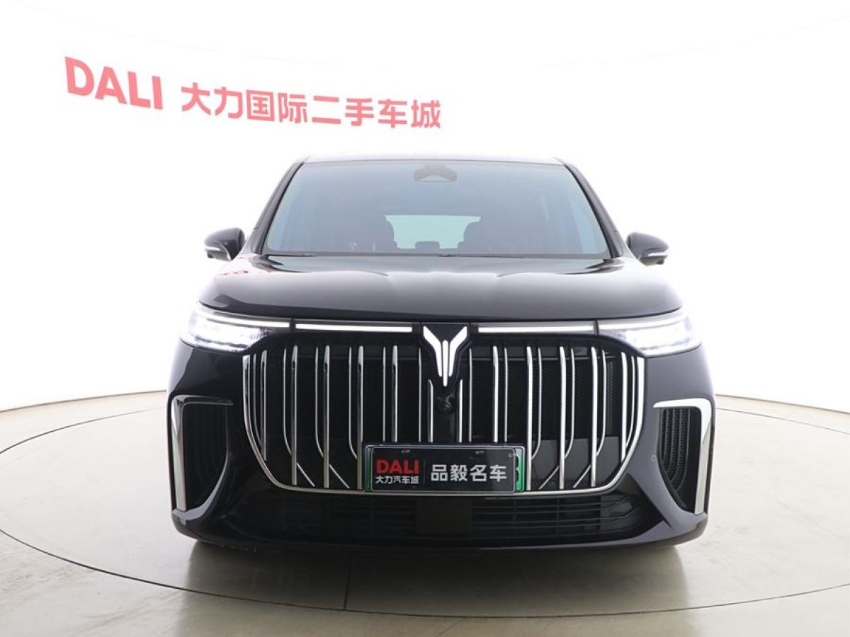 嵐圖 夢想家  2024款 PHEV 超長續(xù)航旗艦版圖片