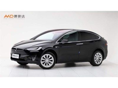 2019年6月 特斯拉 Model X Model X 75D圖片