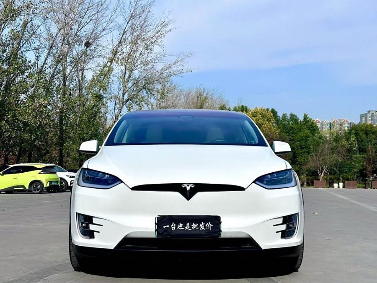 特斯拉 Model X  2017款 Model X 100D 長(zhǎng)續(xù)航版圖片