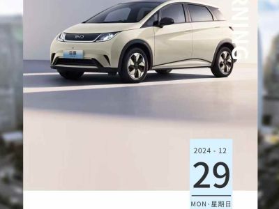 2024年12月 比亞迪 宋L DM-i 112km 超越型圖片