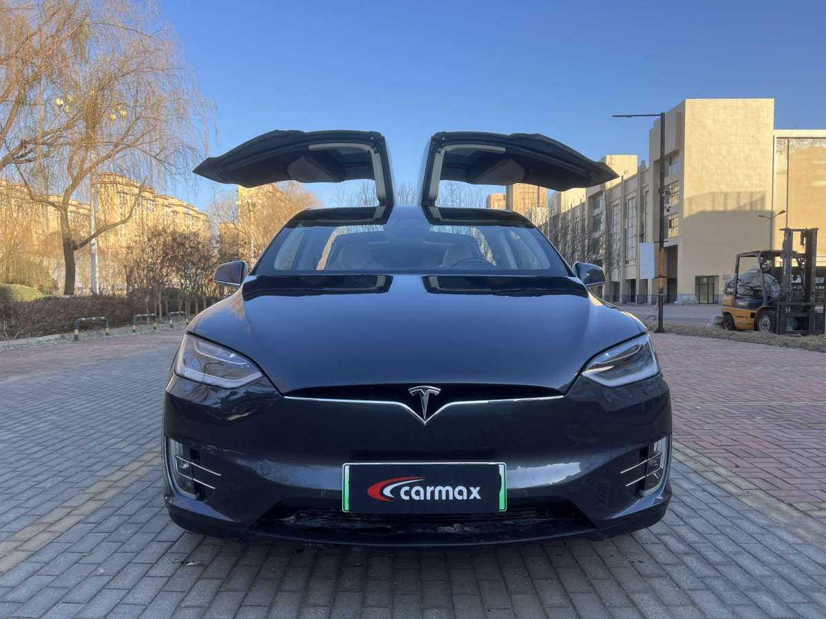 特斯拉 Model X  2019款 標(biāo)準(zhǔn)續(xù)航版圖片