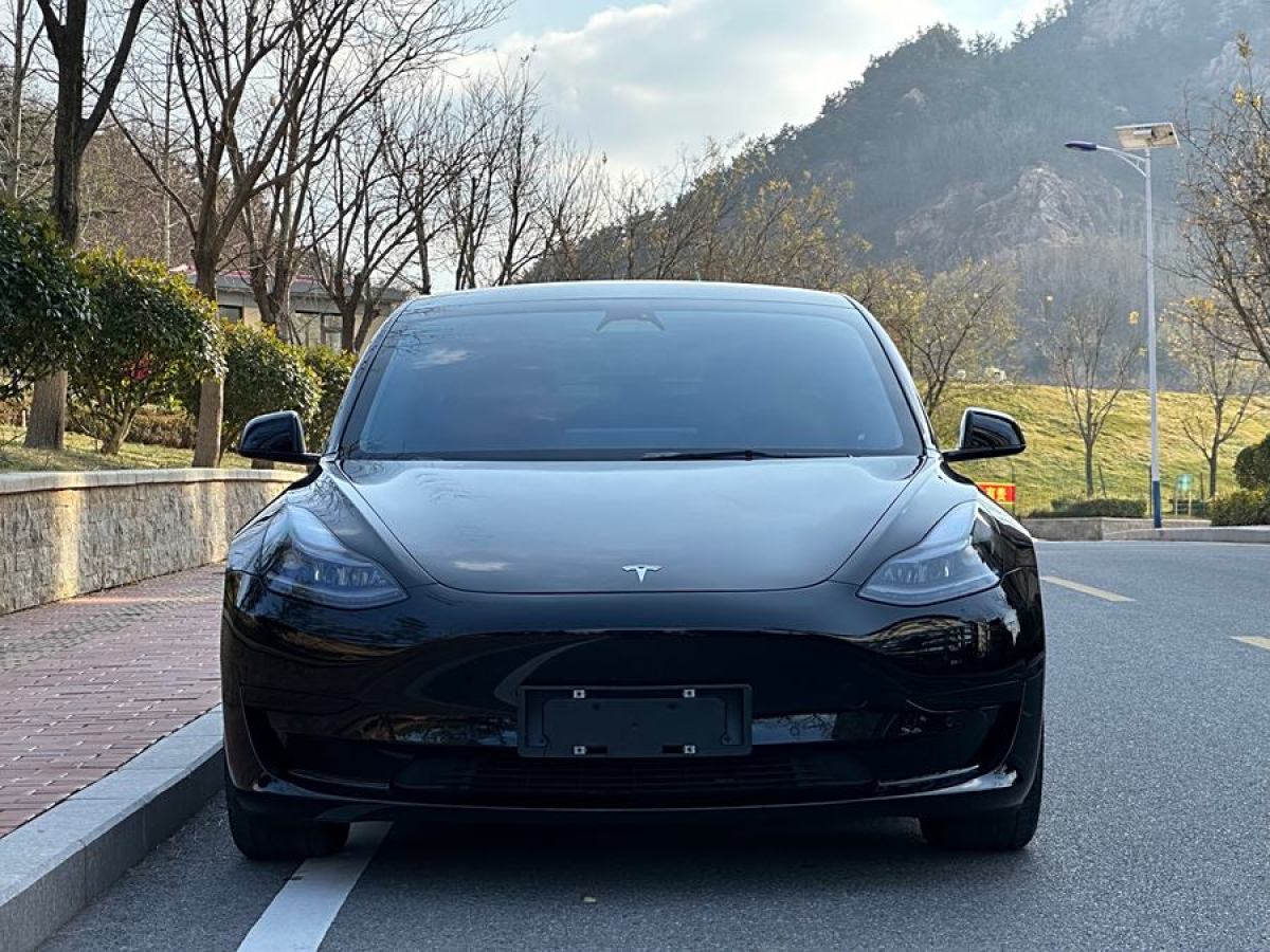 特斯拉 Model 3  2021款 改款 標(biāo)準(zhǔn)續(xù)航后驅(qū)升級版圖片