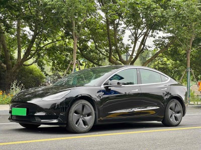 2020年03月 特斯拉 Model 3 标准续航后驱升级版图片