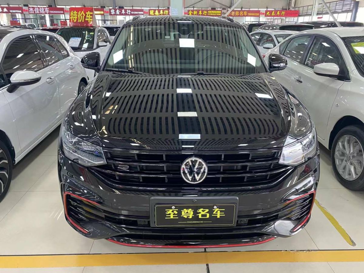 大眾 途歡  2010款 2.0 TSI 特別版圖片