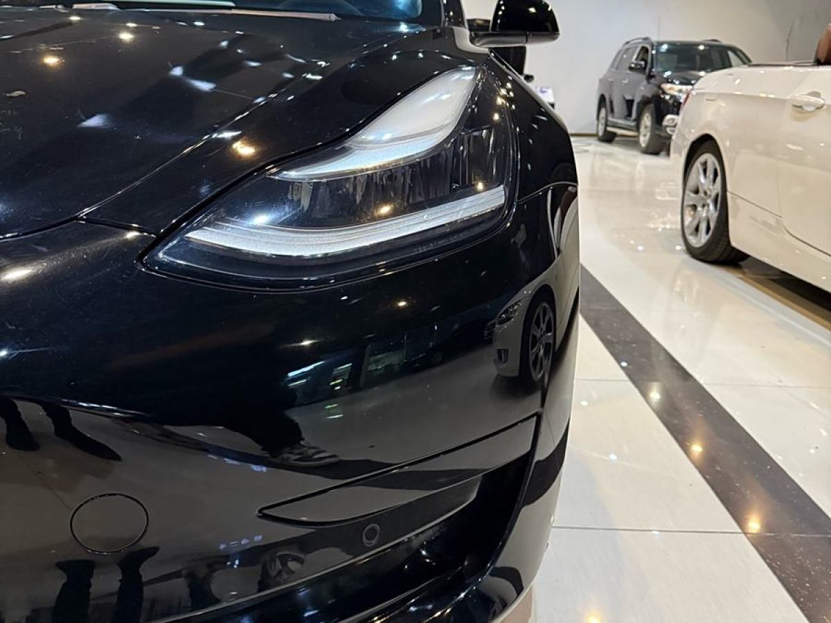 特斯拉 Model 3  2019款 標(biāo)準(zhǔn)續(xù)航后驅(qū)升級版圖片