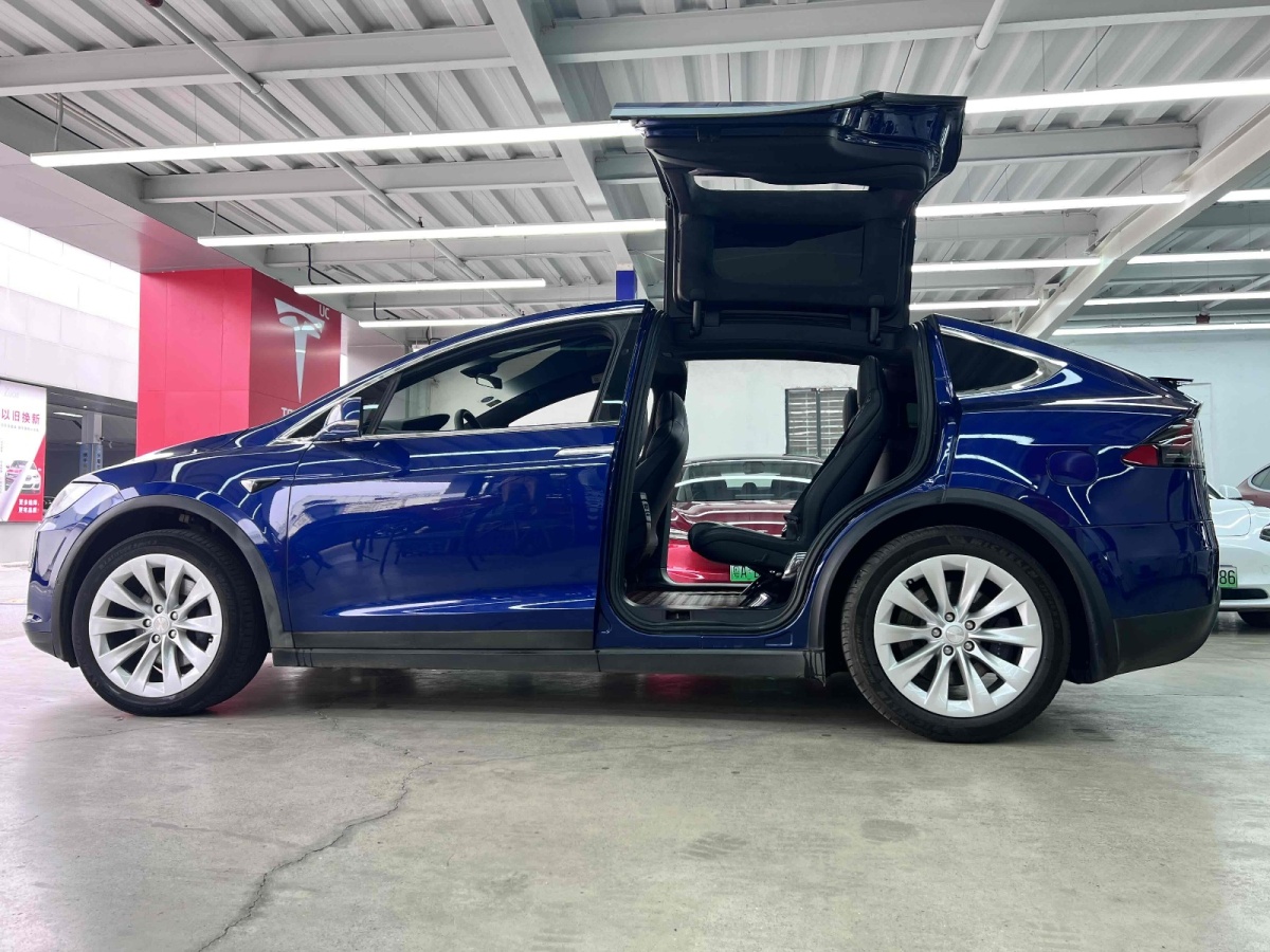 特斯拉 Model X  2019款 長續(xù)航版圖片