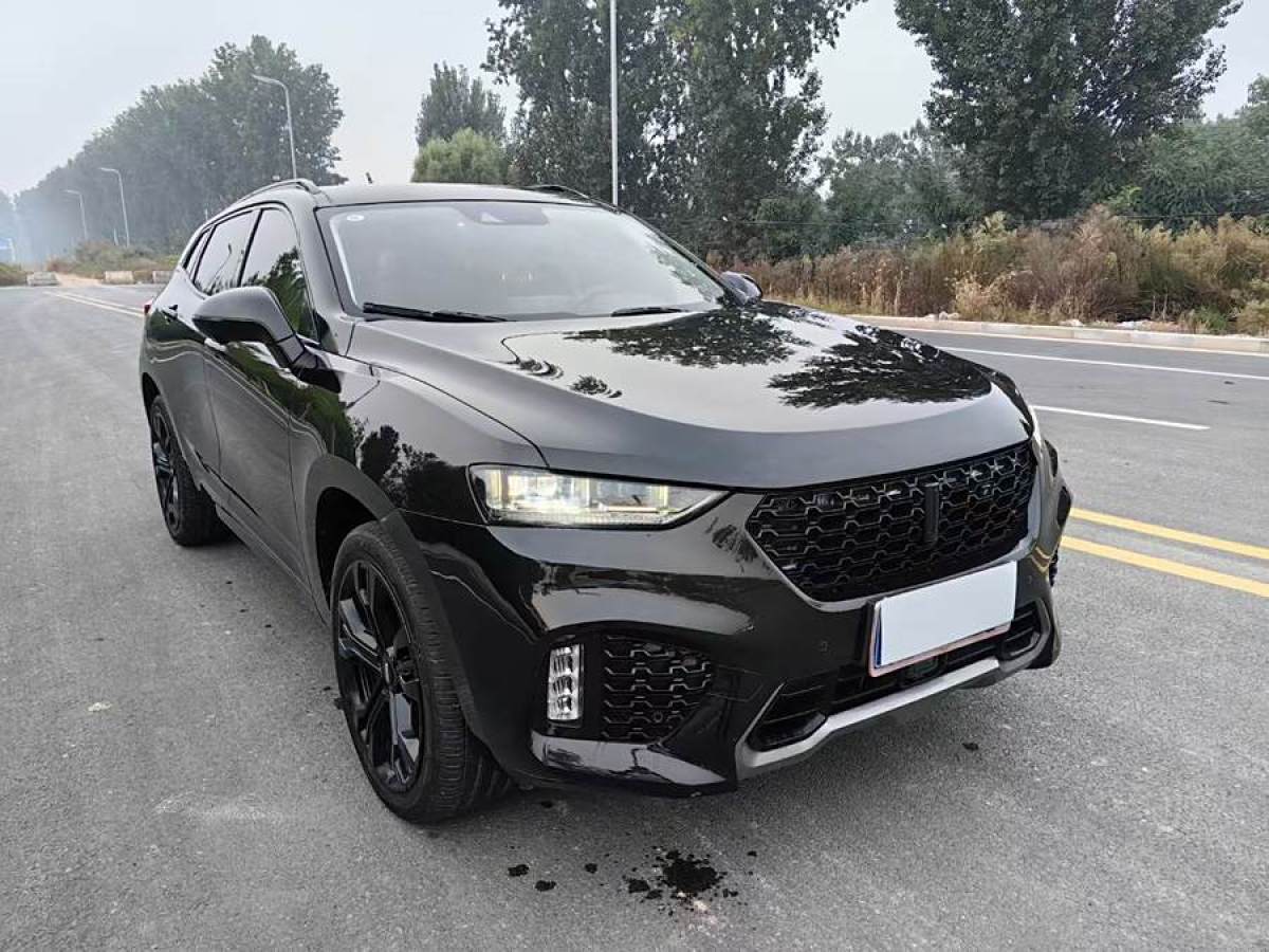 WEY VV7  2019款 升級(jí)款 2.0T 旗艦型圖片