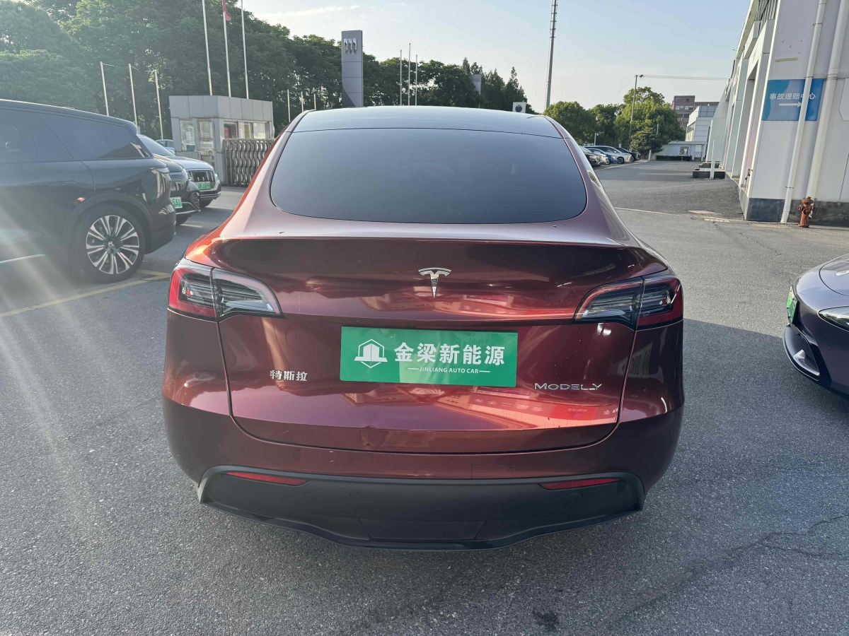 特斯拉 Model Y  2021款 標(biāo)準(zhǔn)續(xù)航后驅(qū)版圖片