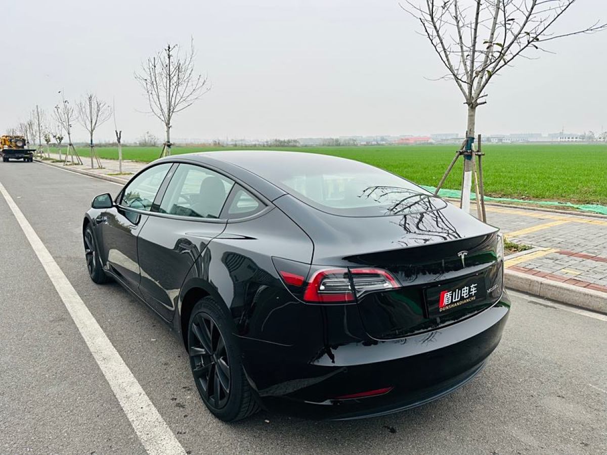 特斯拉 Model 3  2021款 改款 標準續(xù)航后驅升級版圖片