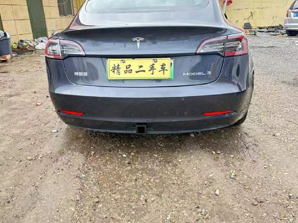 特斯拉 Model 3  2020款 Performance高性能全輪驅(qū)動版圖片