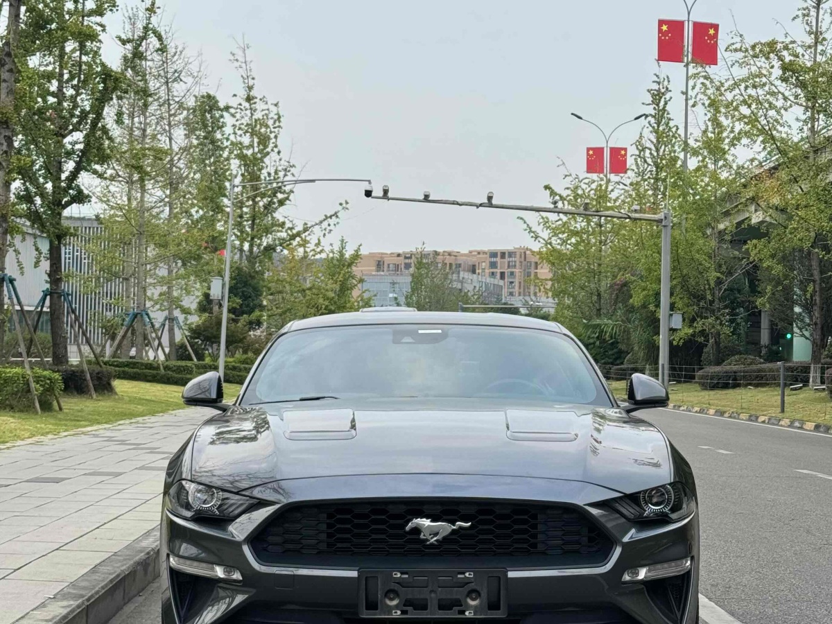 2019年1月福特 Mustang  2018款 2.3L EcoBoost