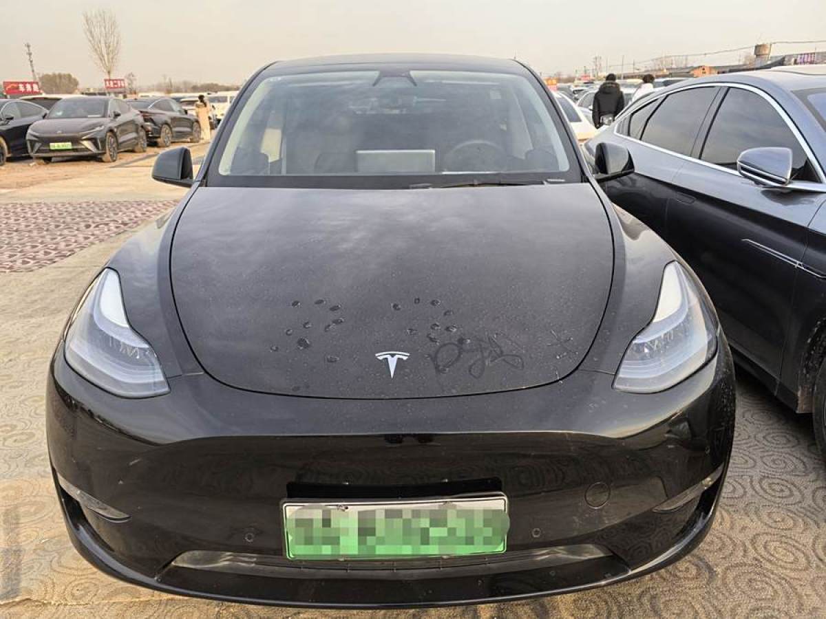 特斯拉 Model 3  2021款 改款 標準續(xù)航后驅(qū)升級版圖片