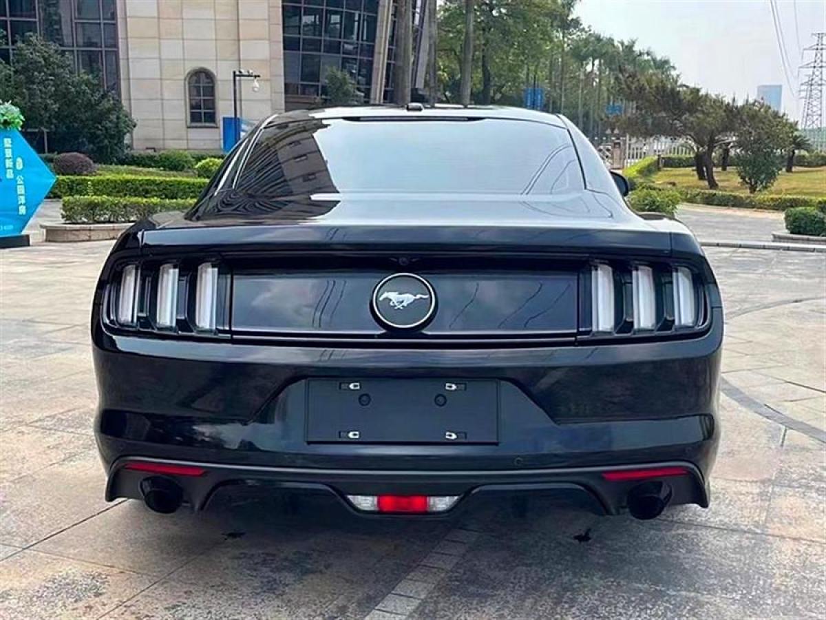 福特 Mustang  2015款 2.3T 性能版圖片