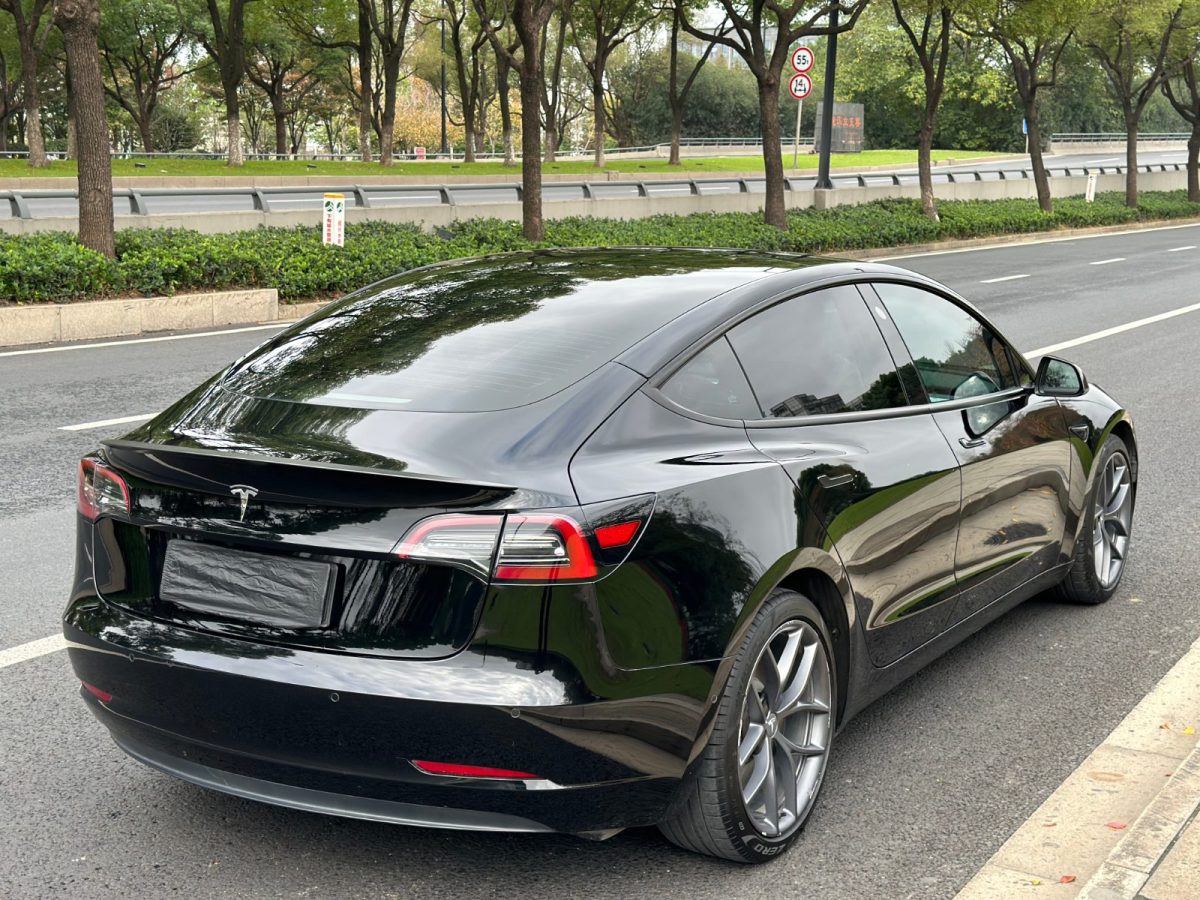 特斯拉 model 3 2021款 performance高性能全轮驱动版图片