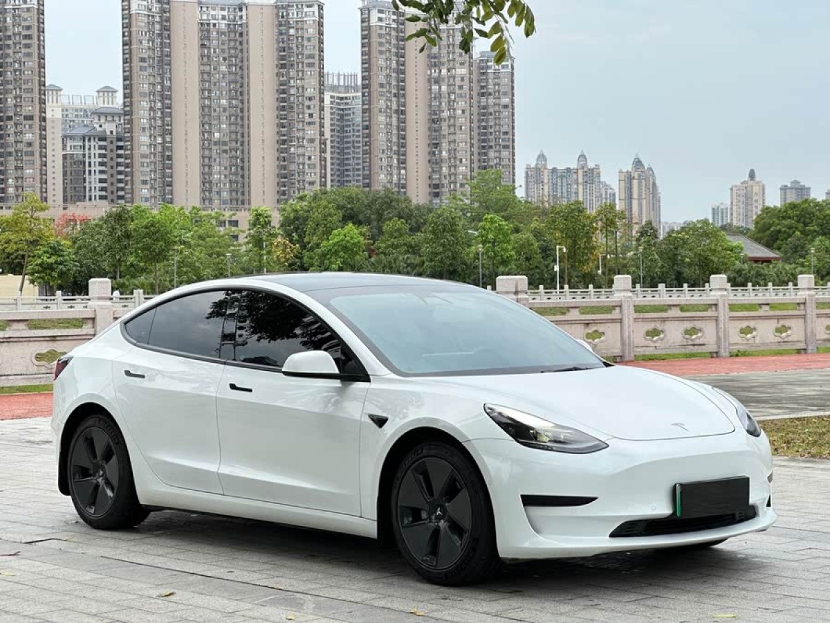 特斯拉 Model 3  2021款 改款 標(biāo)準(zhǔn)續(xù)航后驅(qū)升級(jí)版圖片