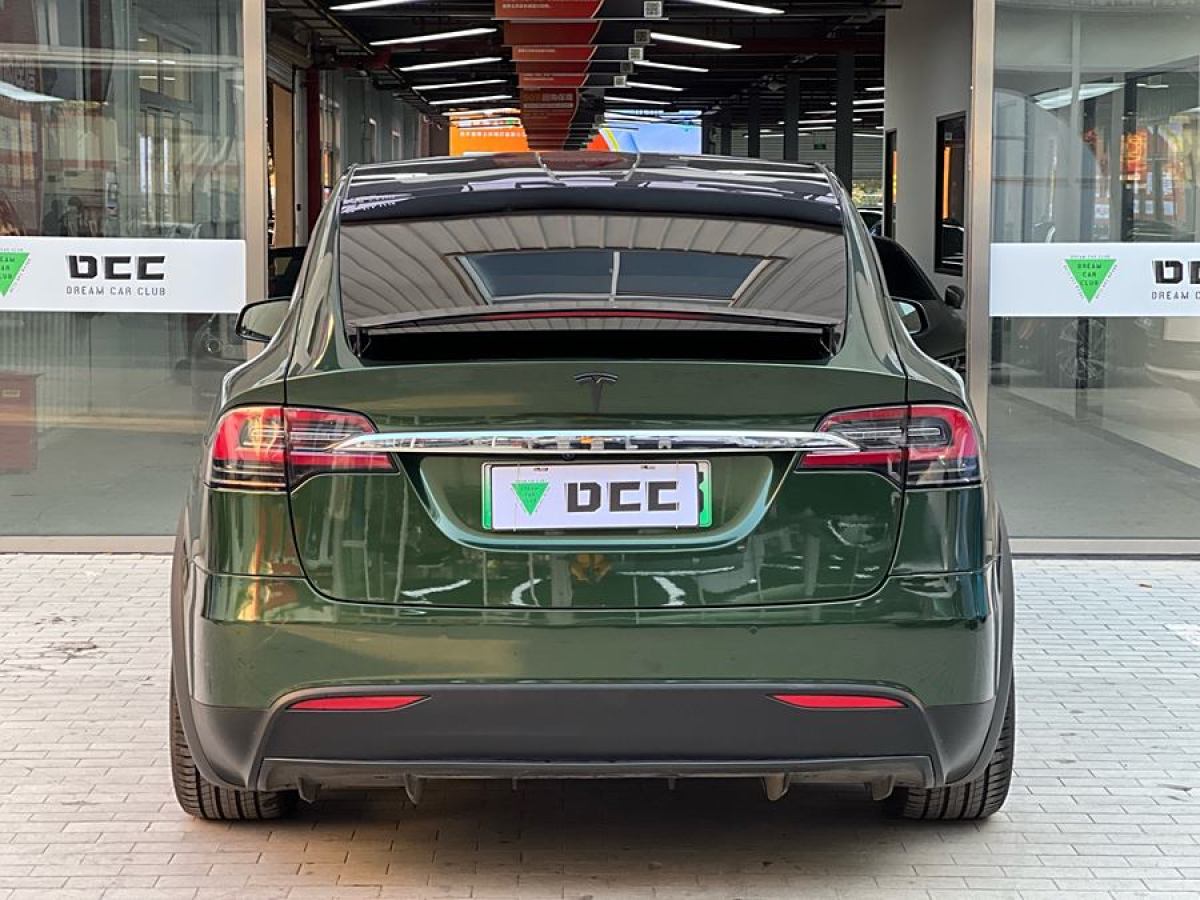 特斯拉 Model X  2019款 長續(xù)航版圖片