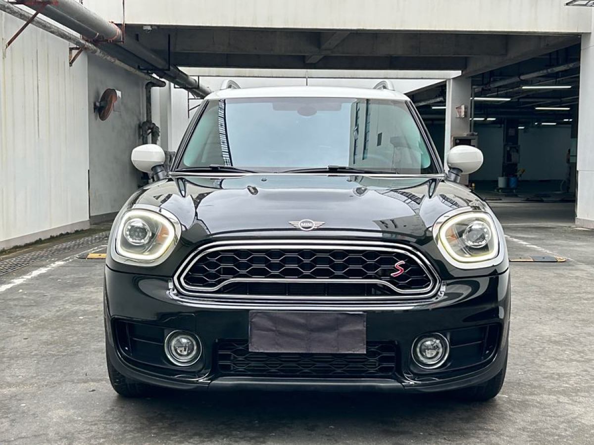 MINI COUNTRYMAN  2019款 2.0T COOPER S ALL4 藝術(shù)家圖片