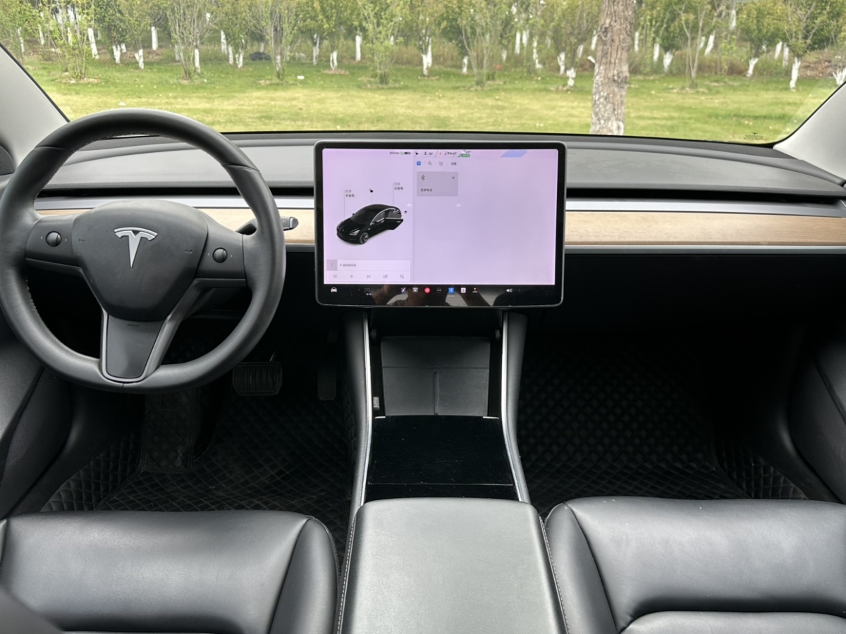 特斯拉 Model 3  2020款 改款 標(biāo)準(zhǔn)續(xù)航后驅(qū)升級版圖片