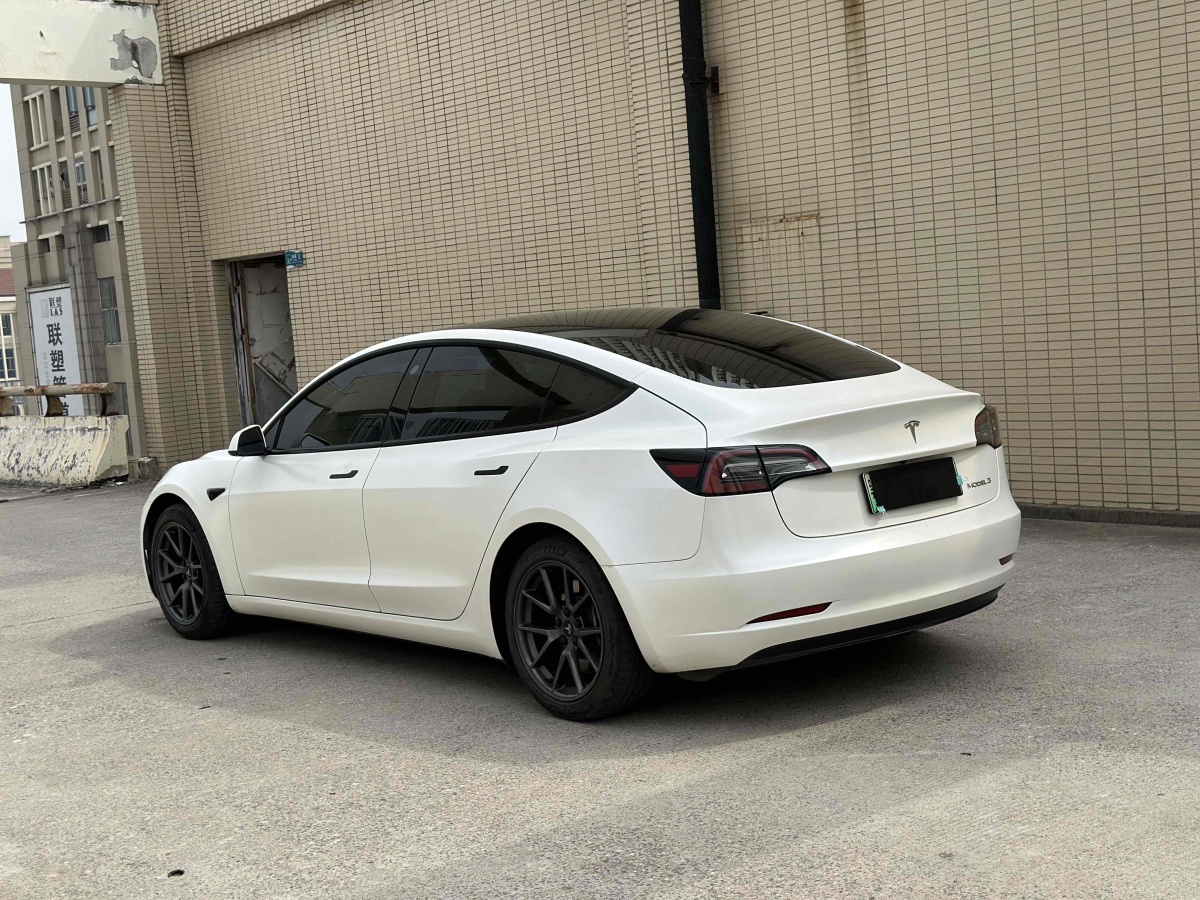 特斯拉 Model Y  2021款 標(biāo)準(zhǔn)續(xù)航后驅(qū)升級(jí)版 3D6圖片