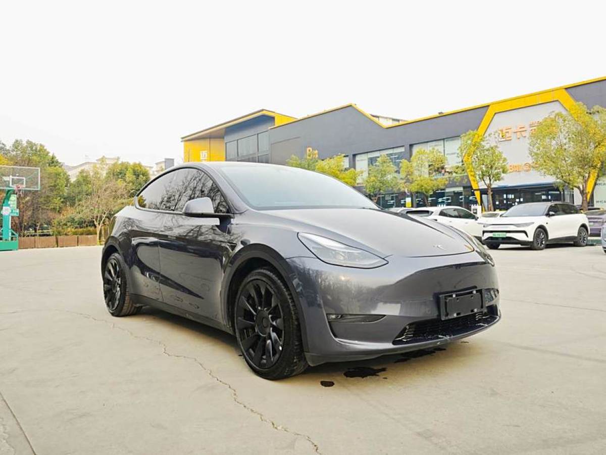 特斯拉 Model Y  2021款 改款 長續(xù)航全輪驅動版圖片