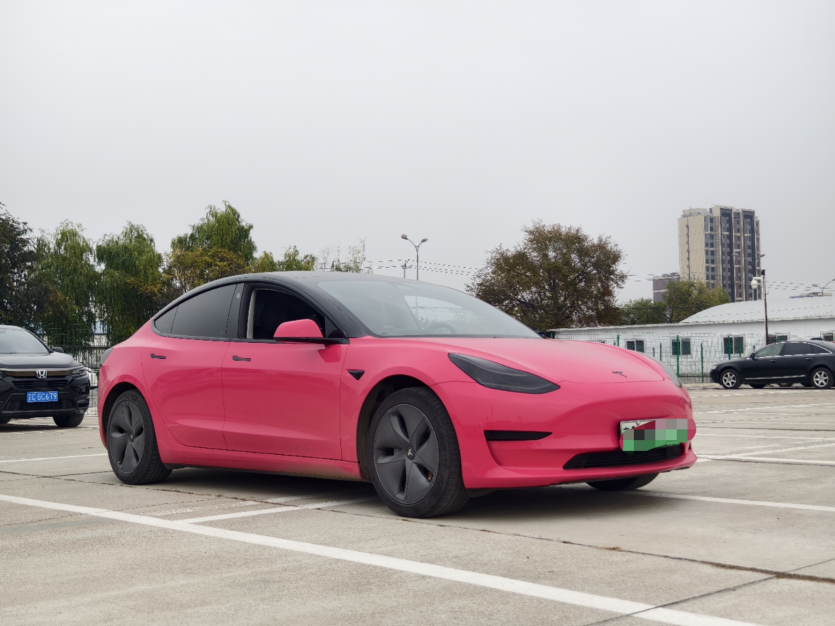 特斯拉 Model 3  2019款 標(biāo)準(zhǔn)續(xù)航后驅(qū)升級(jí)版圖片