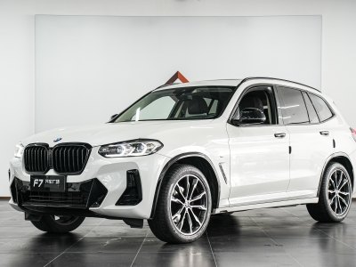 寶馬 寶馬X3 xDrive30i 領(lǐng)先型 M曜夜套裝圖片