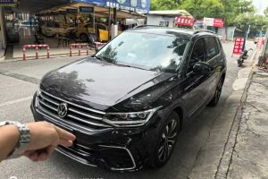 途觀L 大眾 300TSI 自動兩驅(qū)智享版