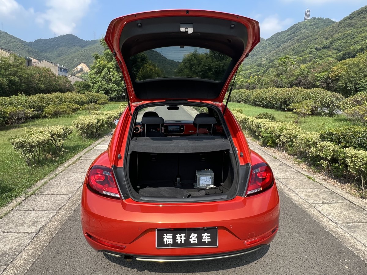 2019年1月大眾 甲殼蟲(chóng)  2019款 180TSI 珍藏版