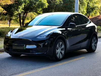 2022年3月 特斯拉 Model 3 后輪驅(qū)動版圖片