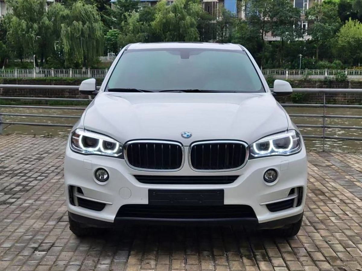 寶馬 寶馬X5  2014款 xDrive35i 典雅型圖片