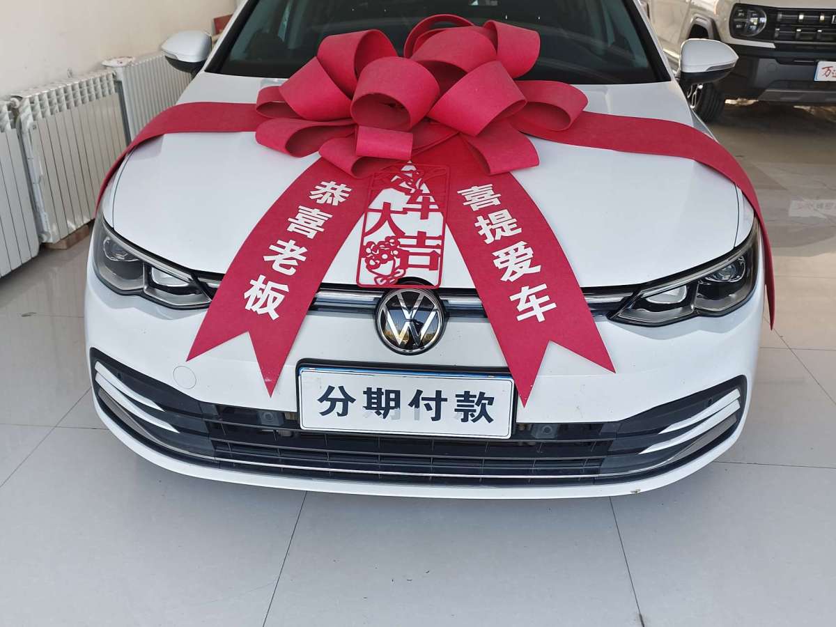 大眾 高爾夫  2021款 280TSI DSG 30周年紀(jì)念版圖片