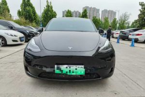 Model Y 特斯拉 Performance高性能全輪驅(qū)動版