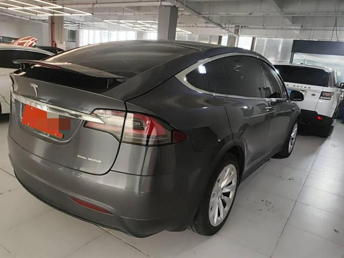 2019年11月特斯拉 Model X  2019款 長續(xù)航版