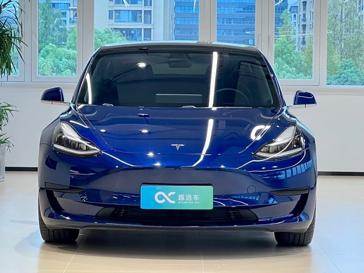 2020年11月特斯拉 Model Y  2020款 改款 標準續(xù)航后驅升級版