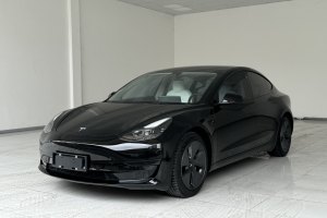 Model 3 特斯拉 标准续航后驱升级版