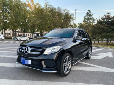 2016年2月 奔馳 奔馳GLE(進口) GLE 400 4MATIC圖片